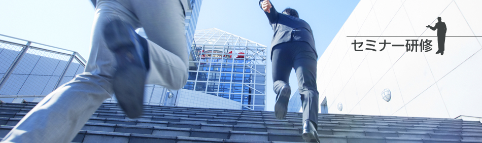 �Z�~�i�[���C